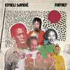 Emeli Sandé - Family - Single